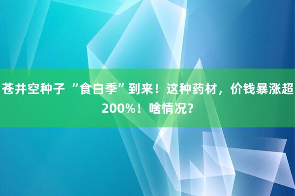 苍井空种子 “食白季”到来！这种药材，价钱暴涨超200%！啥情况？