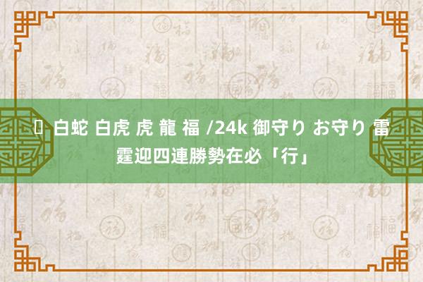 ✨白蛇 白虎 虎 龍 福 /24k 御守り お守り 雷霆迎四連勝勢在必「行」