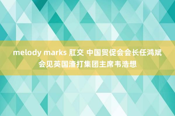 melody marks 肛交 中国贸促会会长任鸿斌会见英国渣打集团主席韦浩想